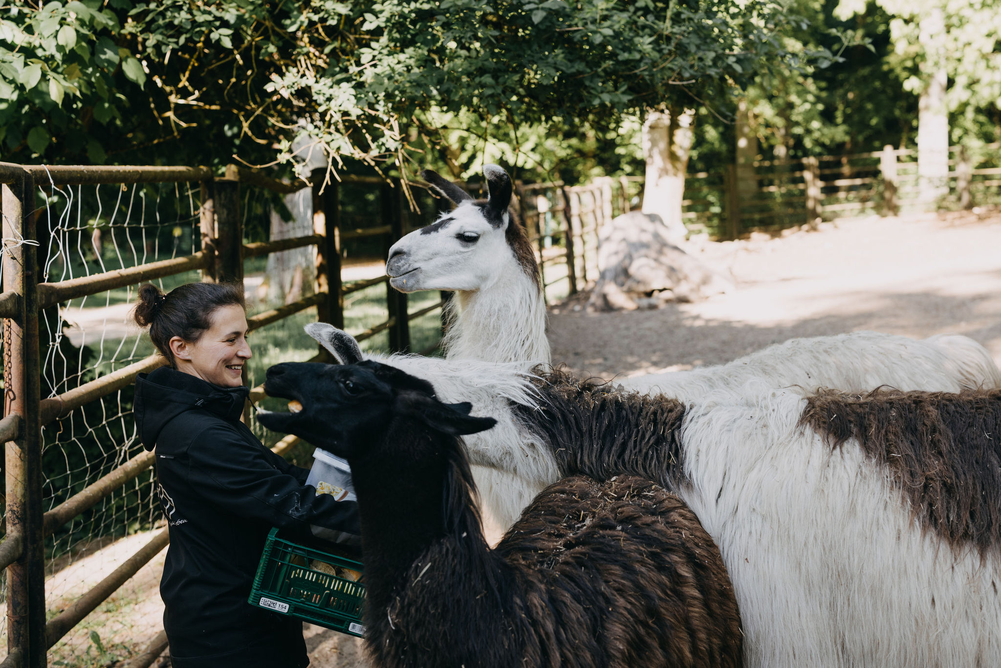 Tierpfleger/-in (m/w/d) - Fachrichtung Zoo