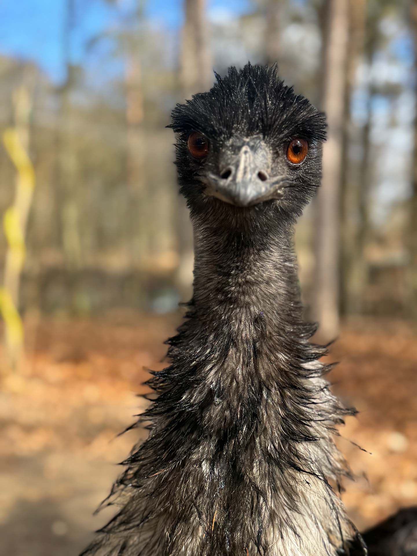 Unser Tiergarten ist heute geschlossen