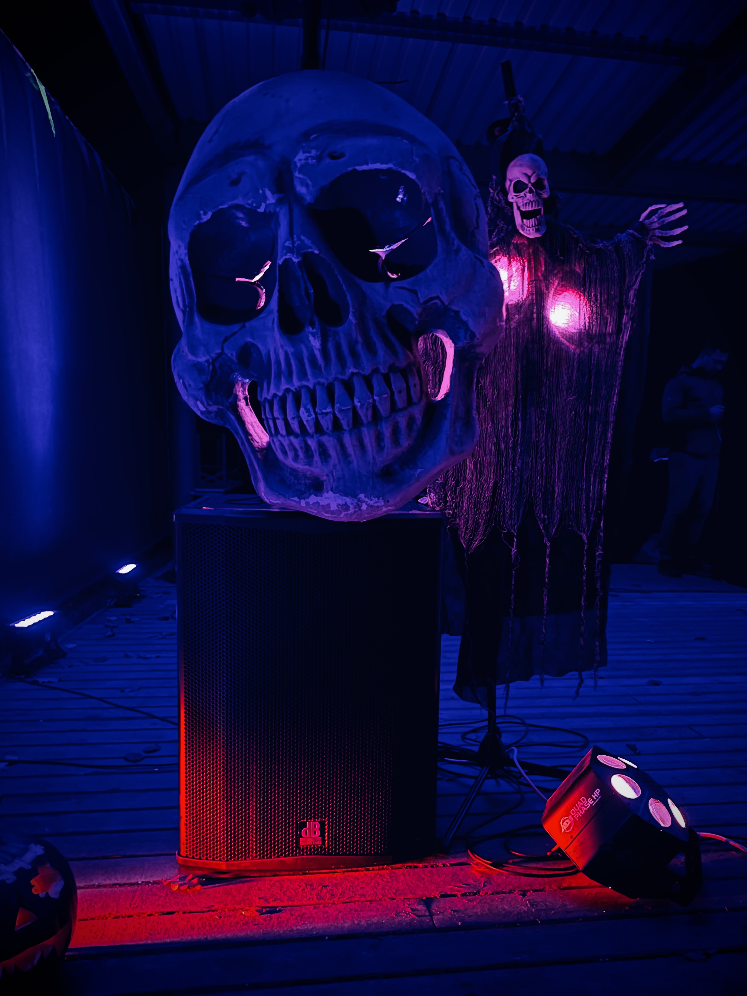Halloween-Gruselzauber im Tiergarten